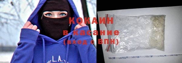 стаф Медногорск