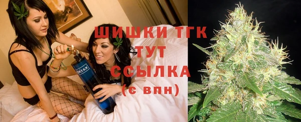 стаф Медногорск