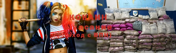 стаф Медногорск