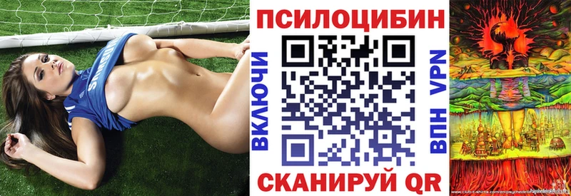 hydra вход  Новый Оскол  Галлюциногенные грибы Psilocybe 